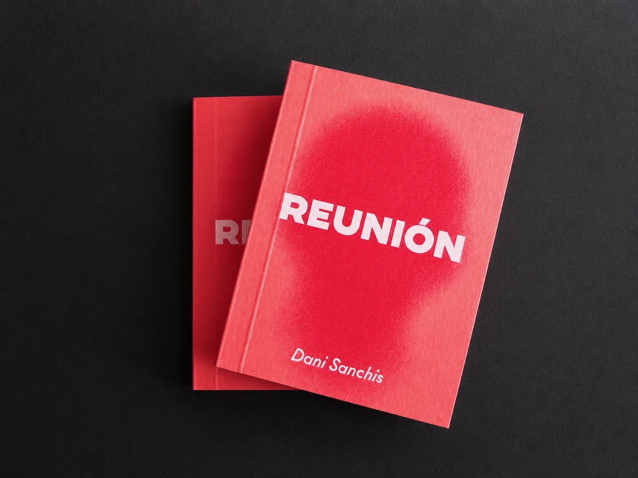 Un libro para seguir reuniendo historias: así es Reunión, el nuevo proyecto editorial de Dani Sanchis